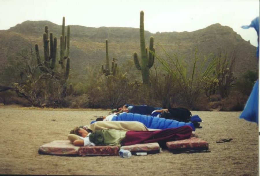 Campers and cacti.. 