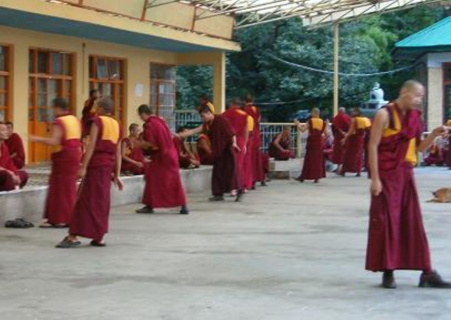 Monks debating in the Dali Lama house (a way of memorizing) 