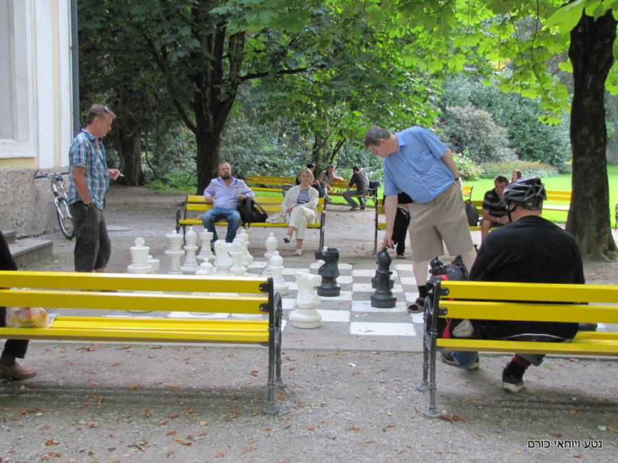 משחקי שח-מט בגן העירוני