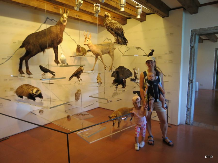 מוזיאון ההיסטוריה של הטבע במצודת סקאליג'רו