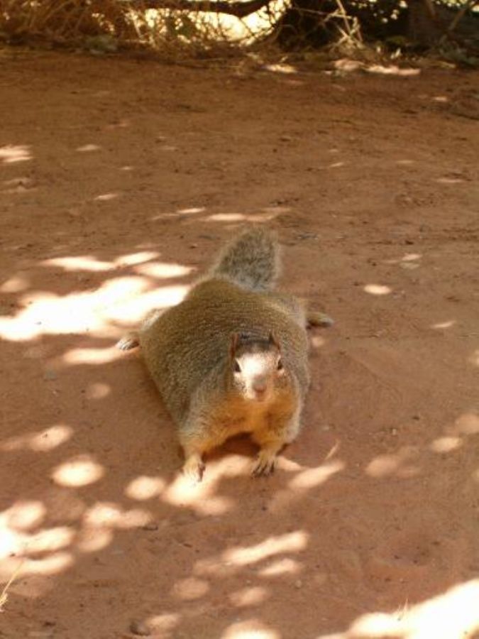Is he cute or what?... 
