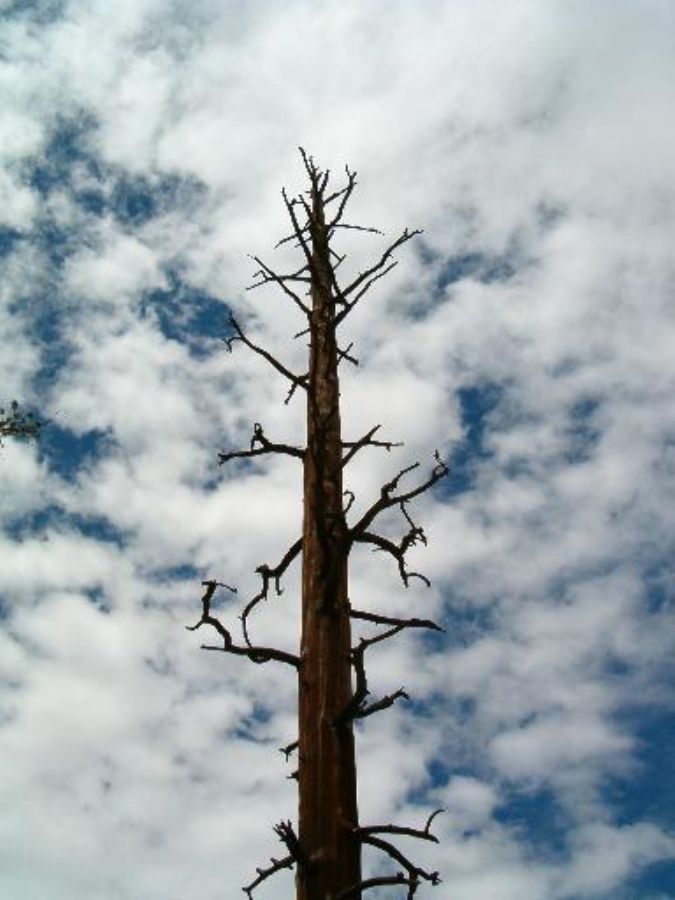 Bryce Canyon
