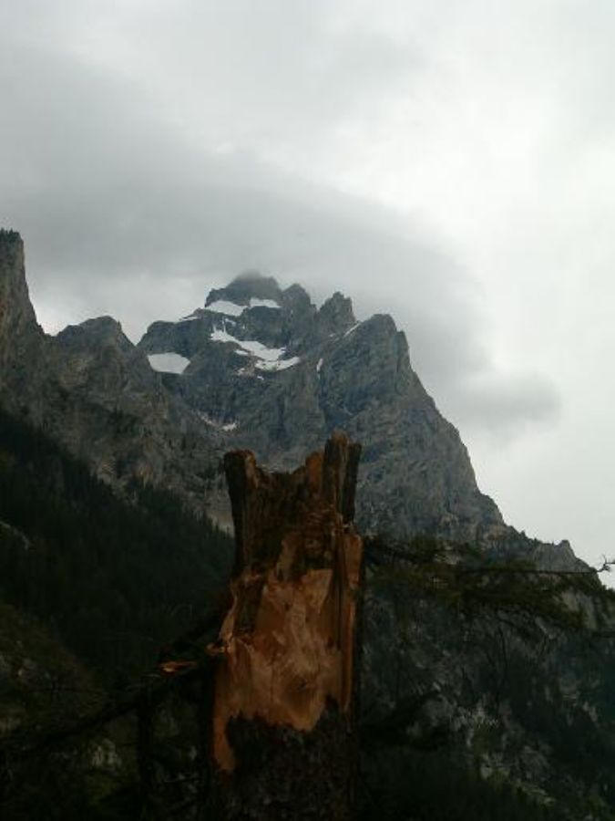 Grand Teton national park 