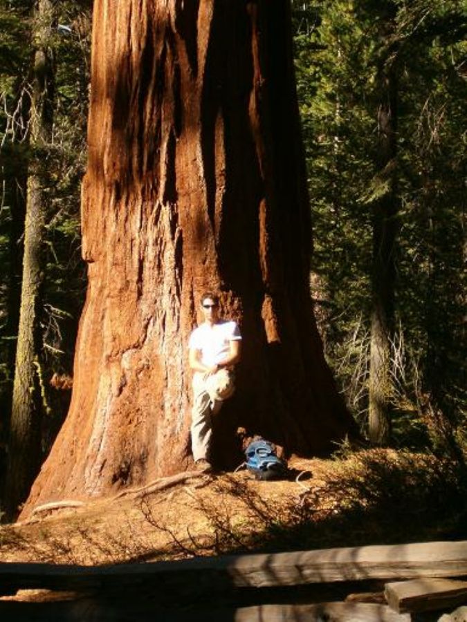 Yosemite