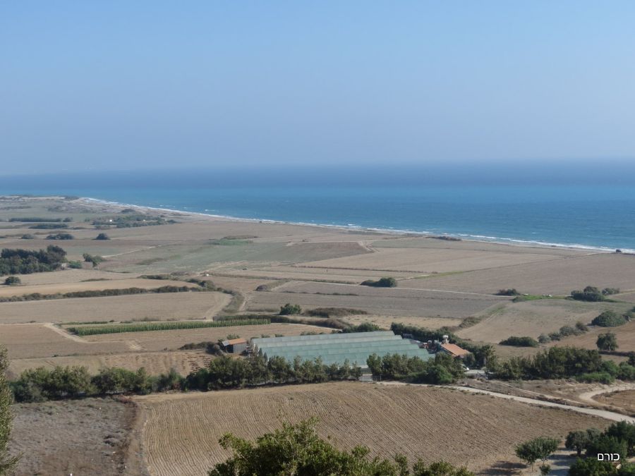 הנוף מהעתיקות