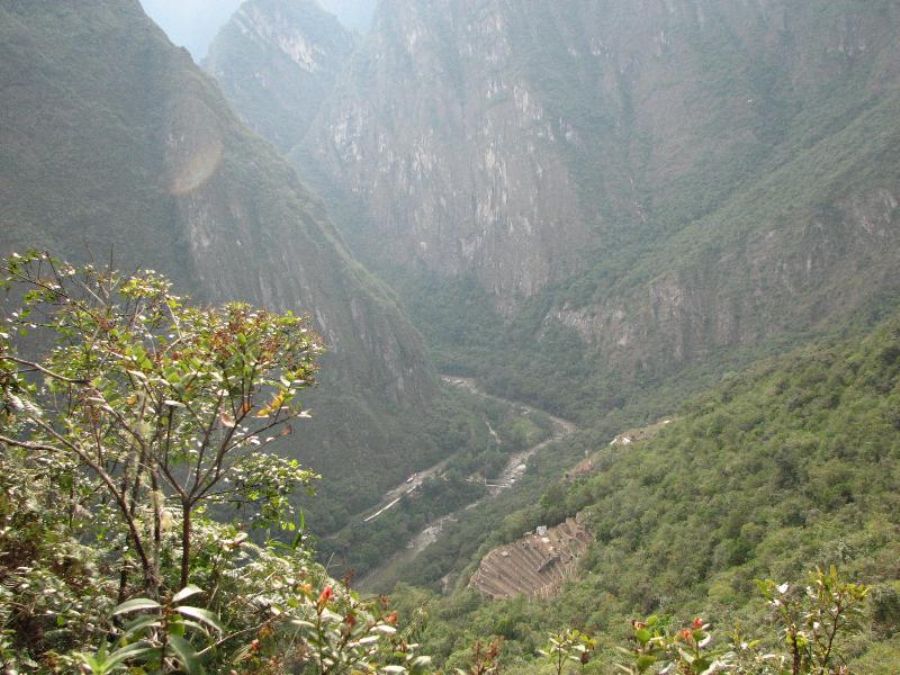 The river around