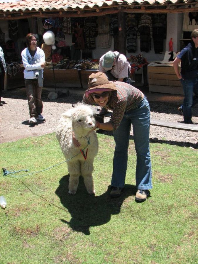 Playing with Lamas